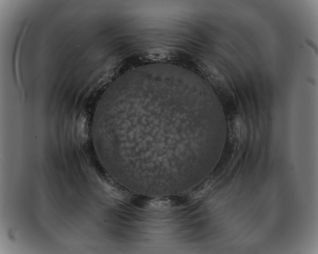 X0000092100606200709121545
