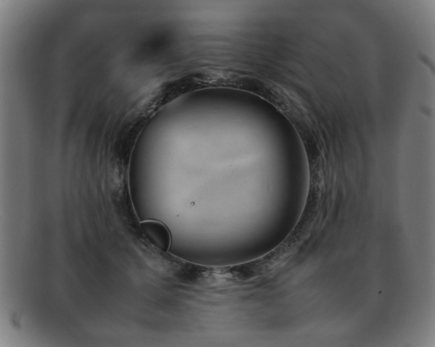 X0000092100607200709121545