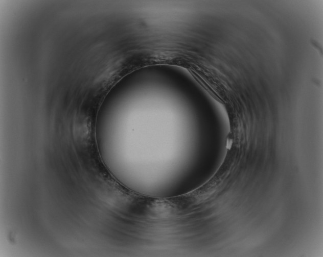 X0000092100608200709121545