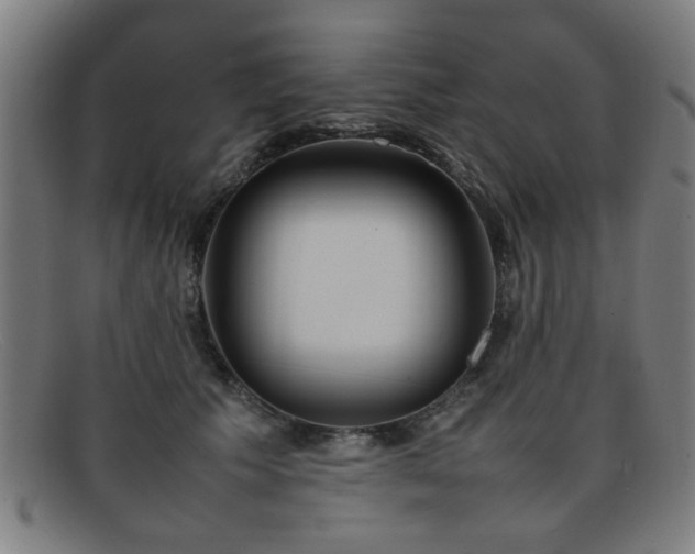 X0000092100609200709121545