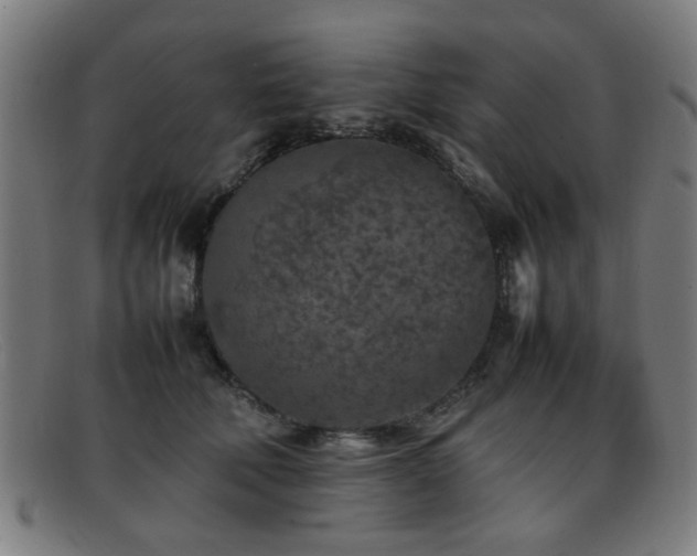 X0000092100610200709121545