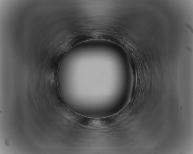 X0000092100611200709121545