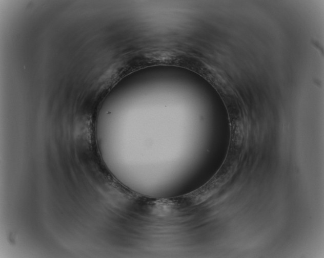 X0000092100612200709121545