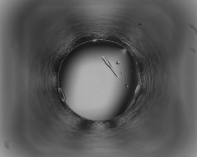 X0000092100613200709121545