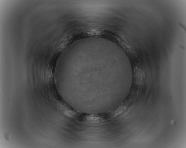 X0000092100614200709121545
