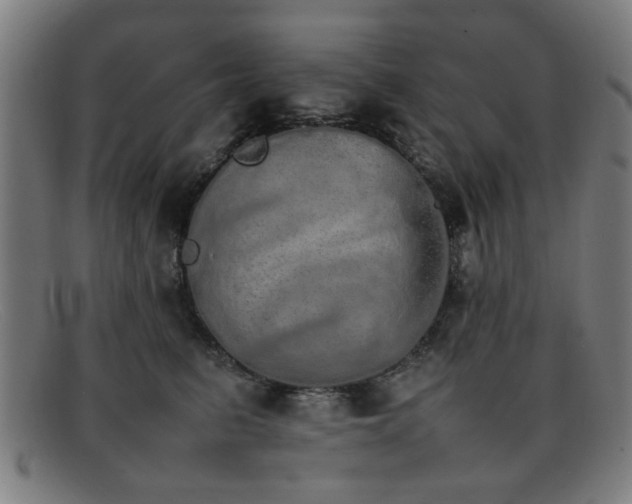 X0000092100615200709121545