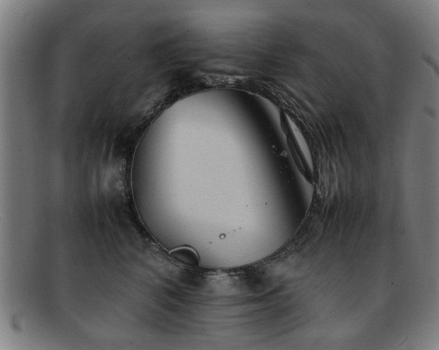 X0000092100616200709121545