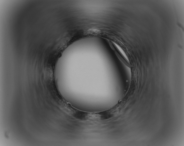 X0000092100617200709121545