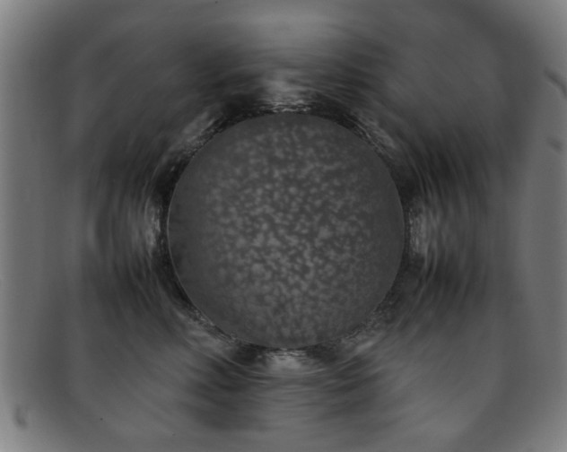X0000092100618200709121545
