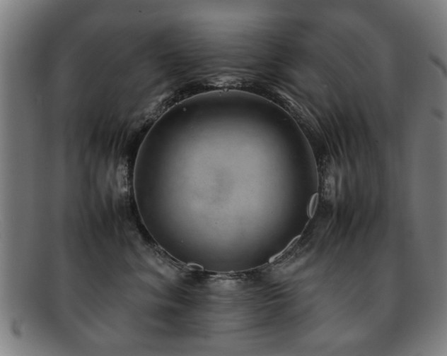 X0000092100620200709121545