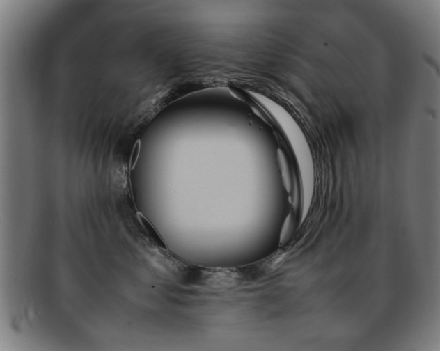 X0000092100621200709121545
