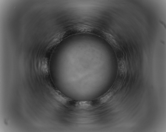 X0000092100622200709121545