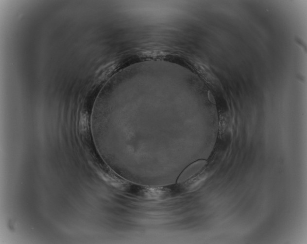 X0000092100623200709121545