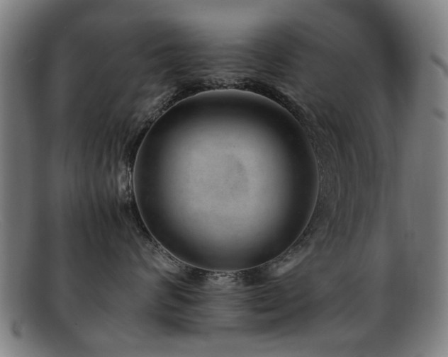 X0000092100624200709121545