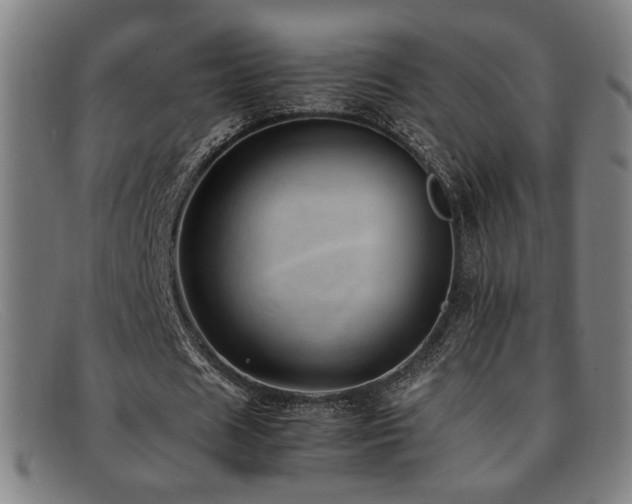 X0000092100625200709121545