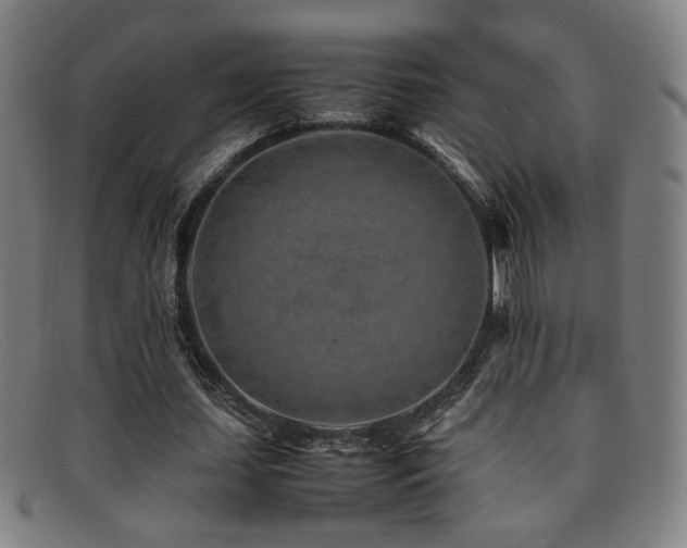 X0000092100627200709121545