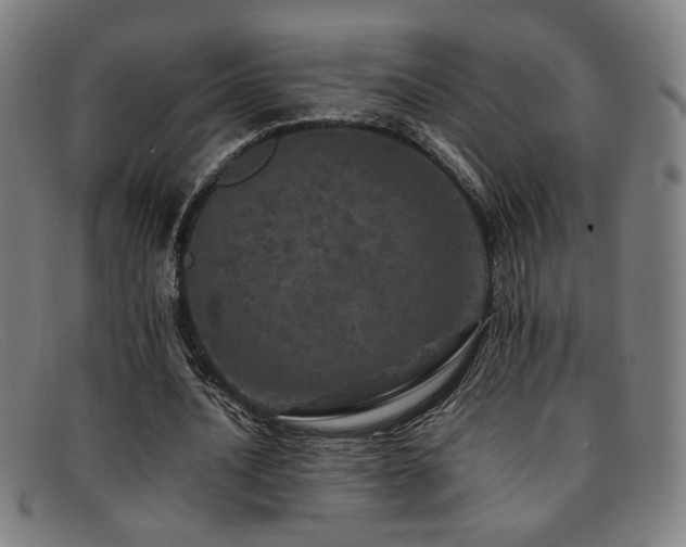 X0000092100628200709121545