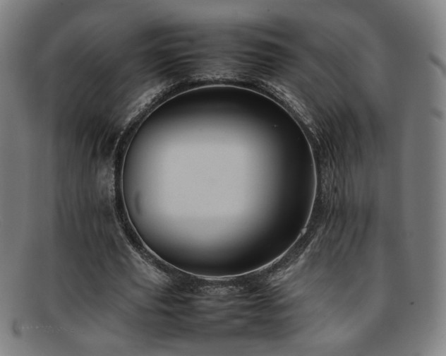 X0000092100629200709121545