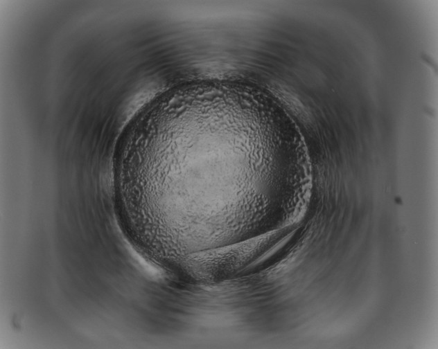 X0000092100630200709121545