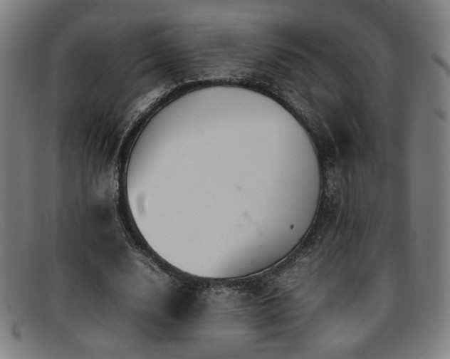 X0000092100632200709121545