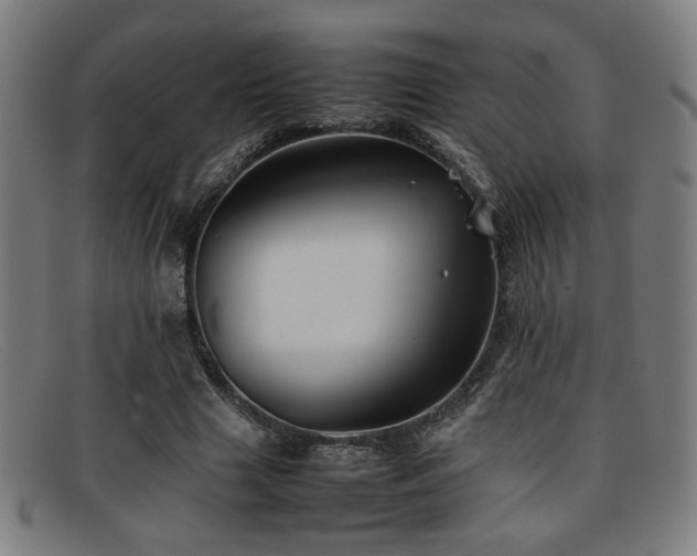 X0000092100633200709121545
