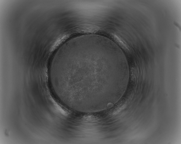 X0000092100634200709121545