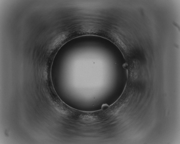 X0000092100635200709121545