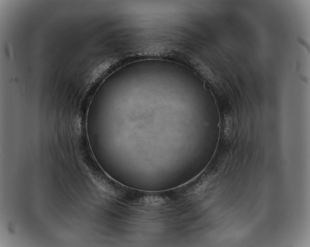 X0000092100636200709121545