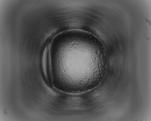 X0000092100637200709121545