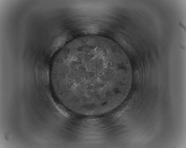 X0000092100638200709121545
