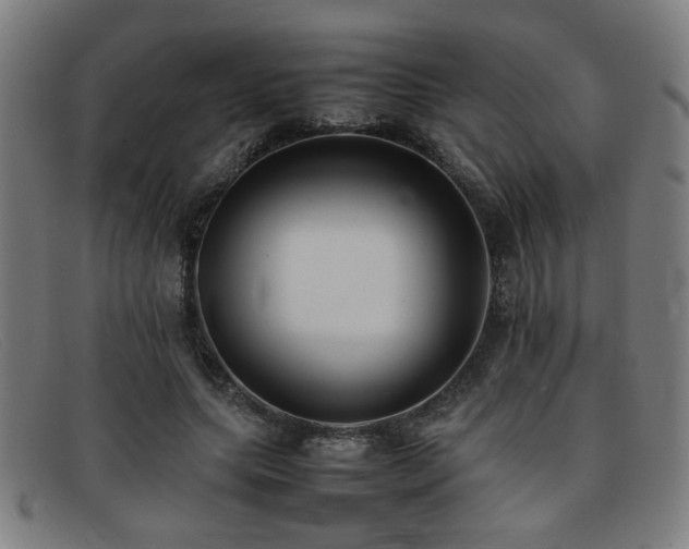 X0000092100639200709121545