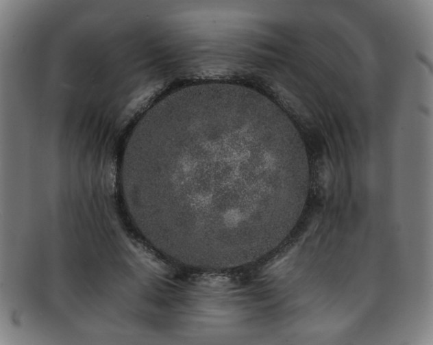 X0000092100640200709121545