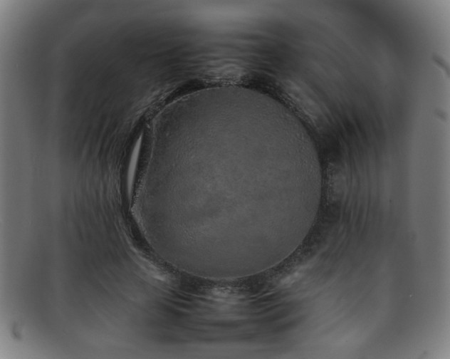 X0000092100641200709121545