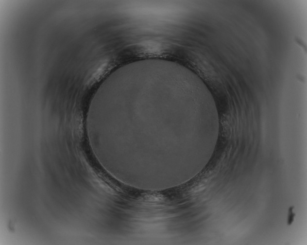X0000092100642200709121545