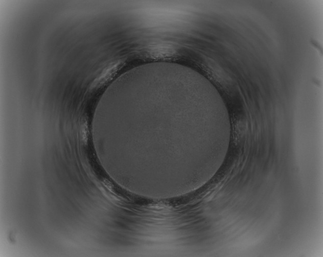 X0000092100644200709121545