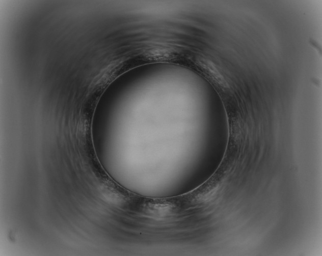 X0000092100645200709121545