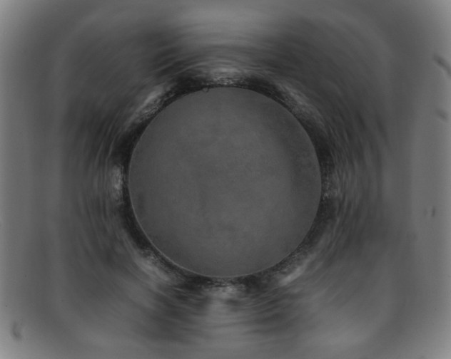X0000092100646200709121545