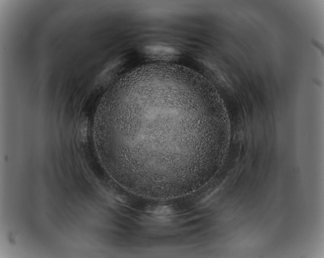 X0000092100647200709121545