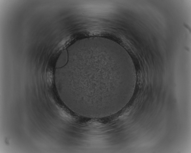 X0000092100648200709121545
