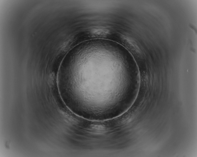 X0000092100649200709121545