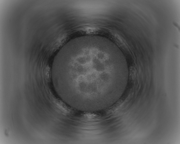 X0000092100650200709121545