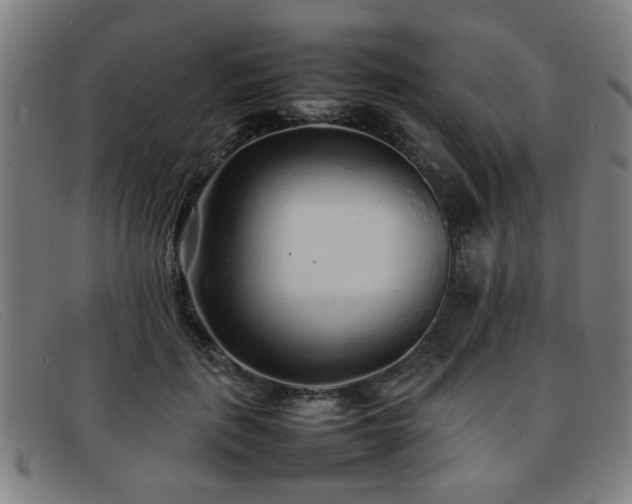 X0000092100651200709121545