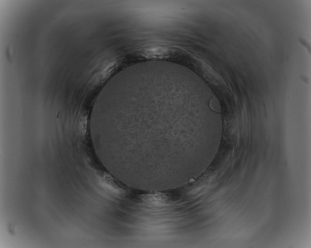 X0000092100652200709121545