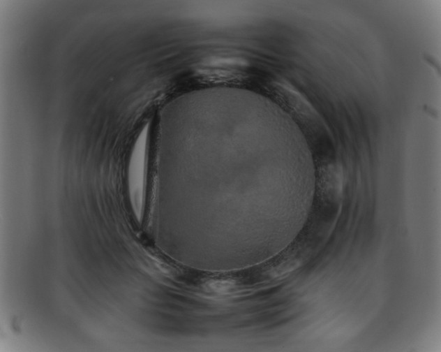 X0000092100653200709121545