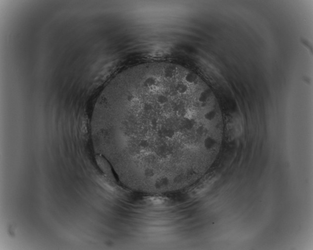 X0000092100654200709121545