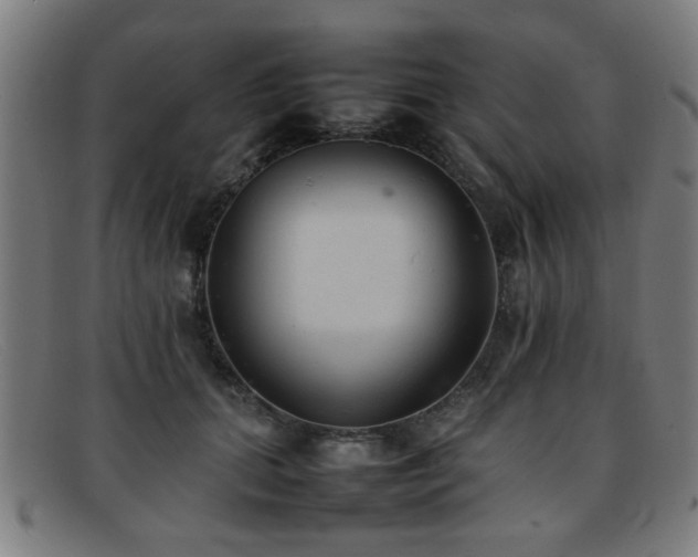X0000092100655200709121545