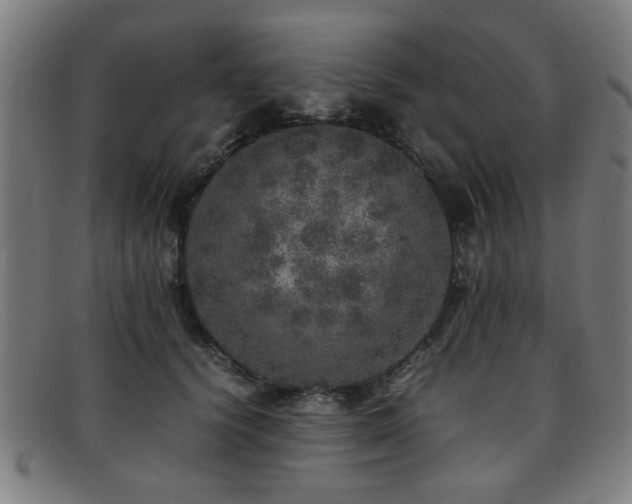 X0000092100656200709121545