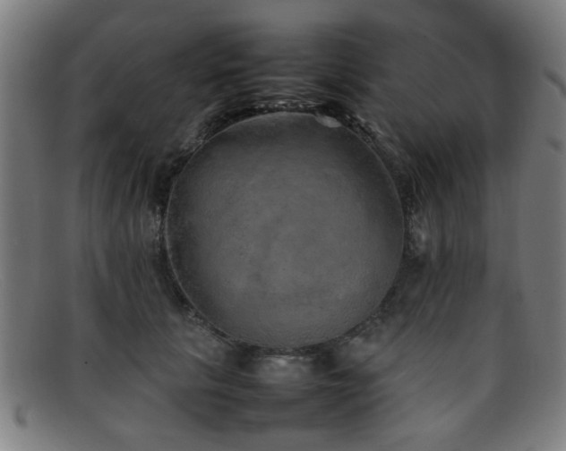 X0000092100657200709121545