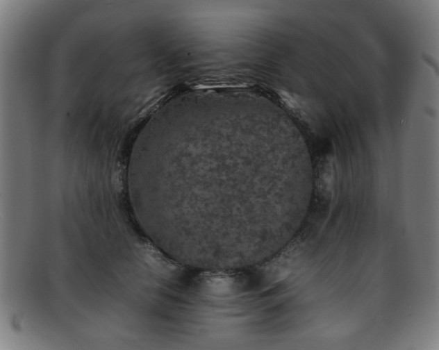 X0000092100658200709121545