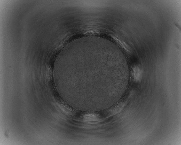 X0000092100659200709121545
